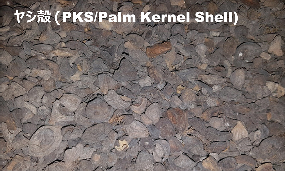 ヤシ殼（PKS/Palm Kernal Shell）