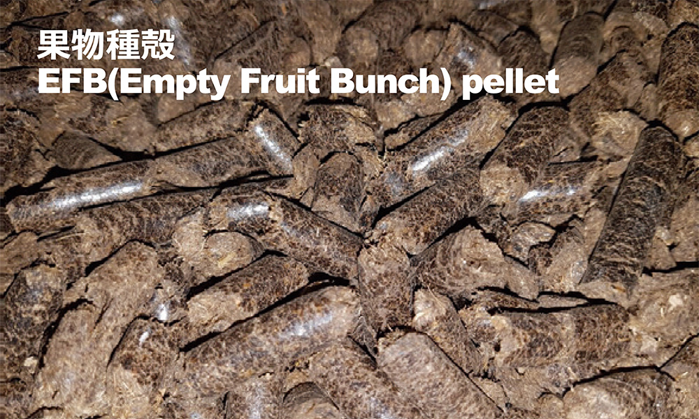 果物種殼（EFB Pellet/Empty Fruit Bunch）