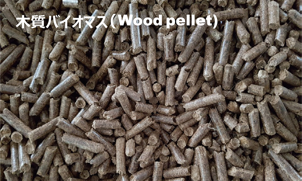 木質バイオマス（Wood Pallet）