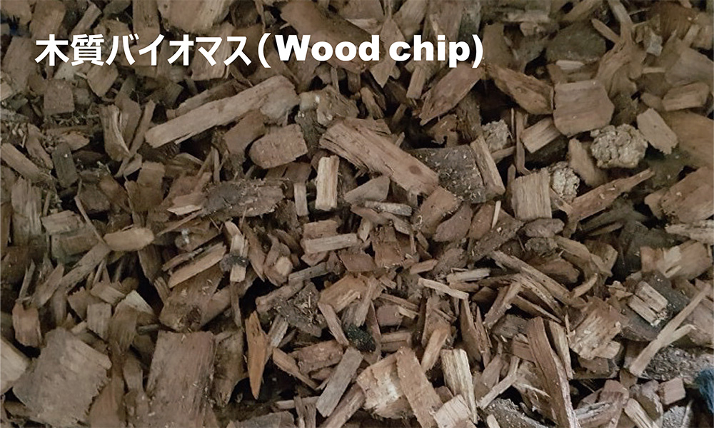 木質バイオマス（Wood Chip）